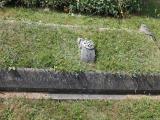 image of grave number 519112